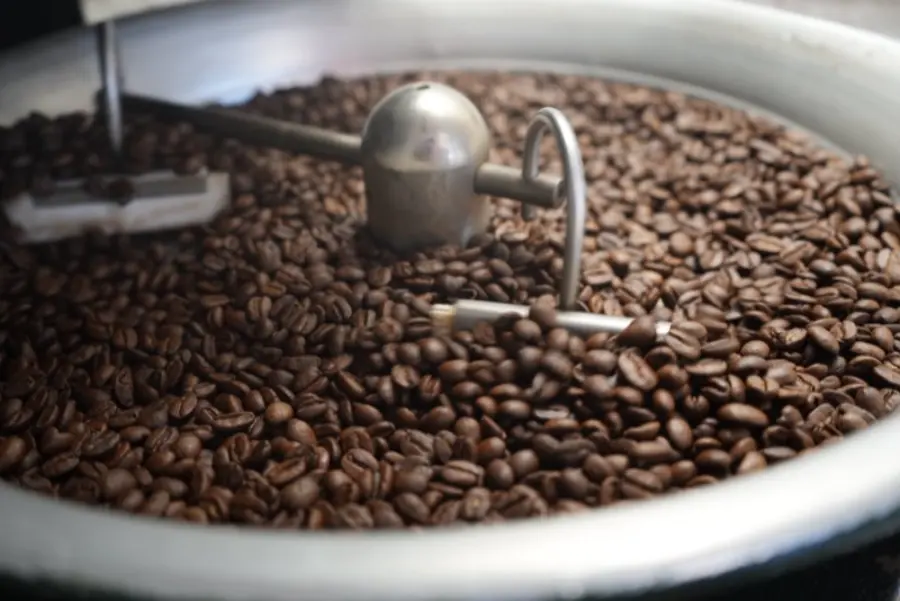 Granos de café recién tostados enfriándose en la tostadora