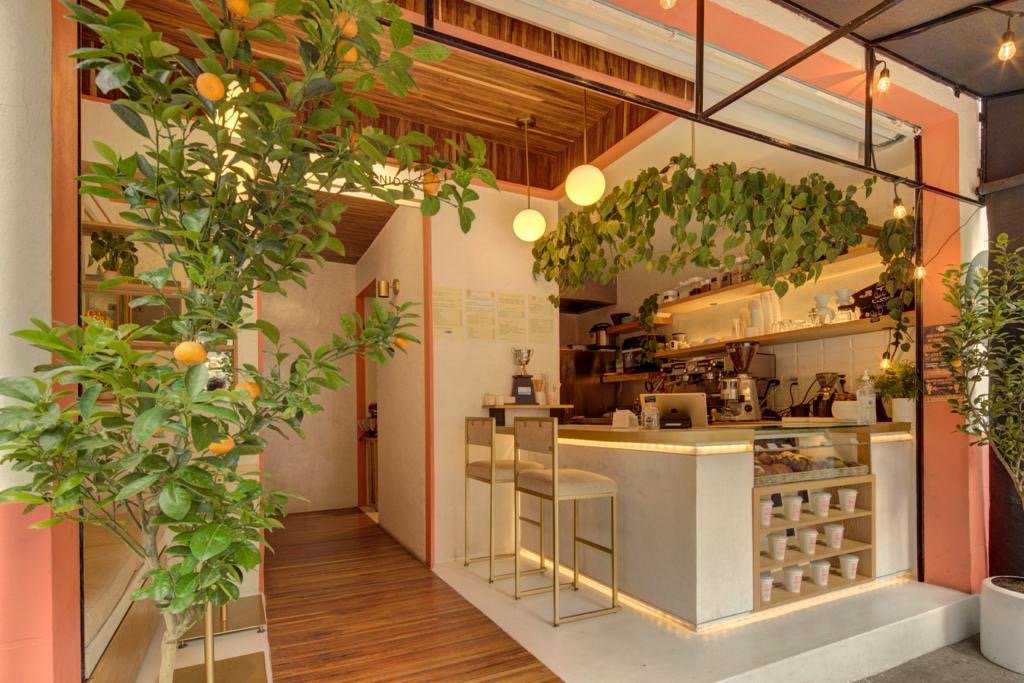 Interior de Nice Day